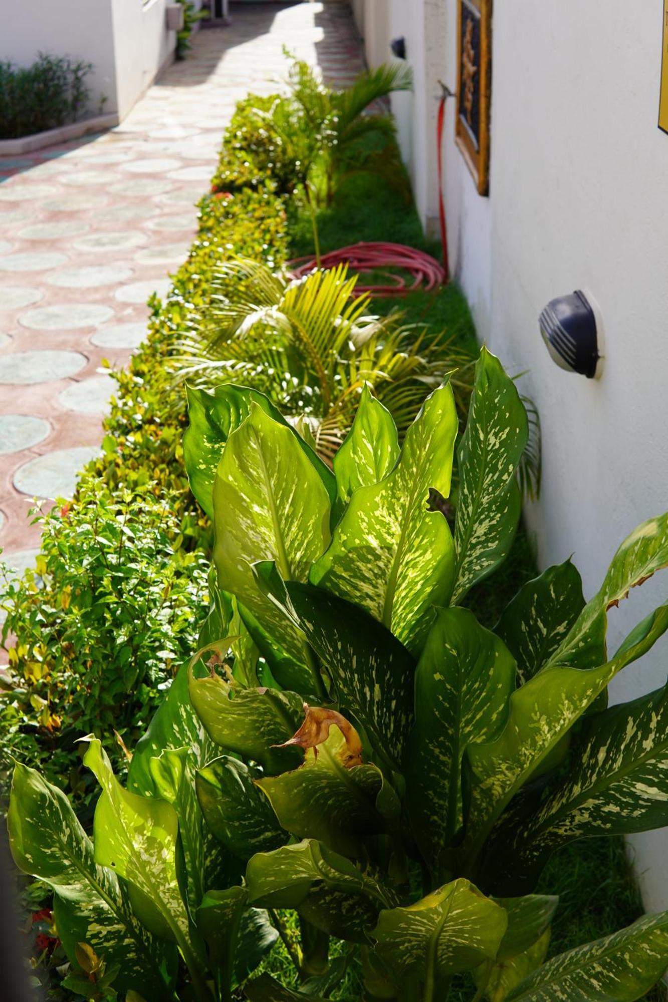 Prestige Guesthouse ,Ksi كوماسي المظهر الخارجي الصورة